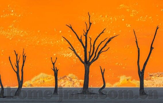 糖心app平台下载网站-解锁娱乐新视野，探索糖心APP平台的下载小径